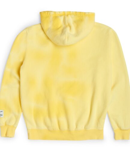 SUNFADED CENTER LOGO HOODIE